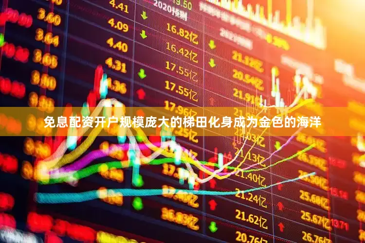 免息配资开户规模庞大的梯田化身成为金色的海洋